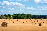 field with bales of hay, blue sky, southern bohemia