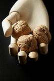 Mannequin wooden hand holding three walnuts