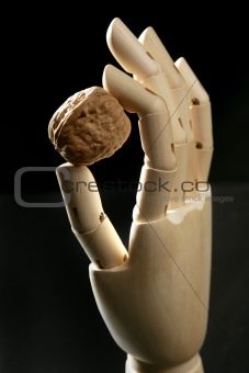 Mannequin wooden hand holding one walnut