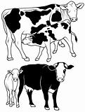 Cow Set