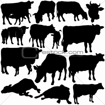 Cow Set Silhouettes