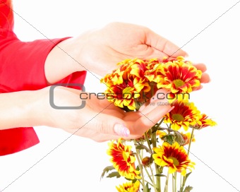 hands and flowers isolated on white