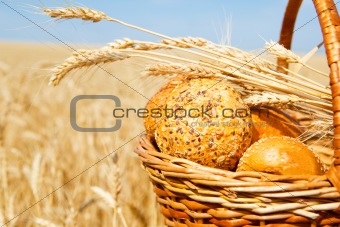 Basket with bread in a wheat field