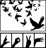 Peace dove love silhouette