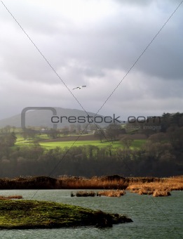 RSPB Nature Reserve, Conwy, North Wales