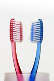 Toothbrushes01