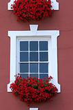 Red Window Beauty