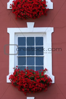 Red Window Beauty