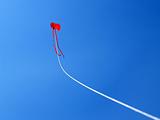 A flying kite