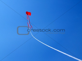 A flying kite
