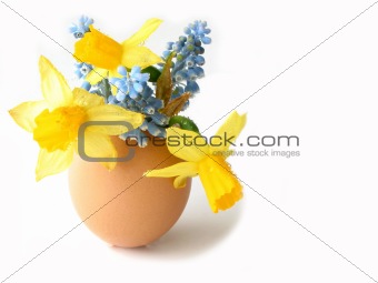 Easter shell