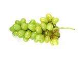 Green grapes bunch