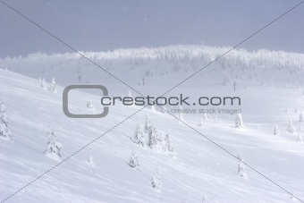 snow covered mountain slope