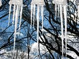 Sparkling icicles