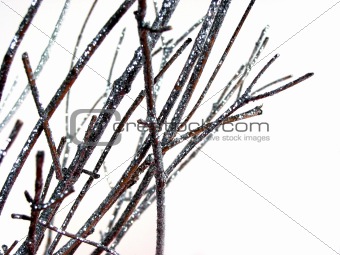Painted twigs