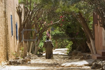 Street in Senegal