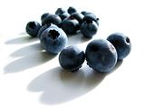 Blueberries macro on white