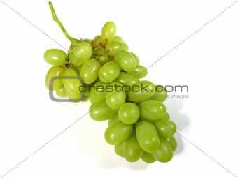 Green grapes bunch 1