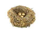 Golden Nest Eggs