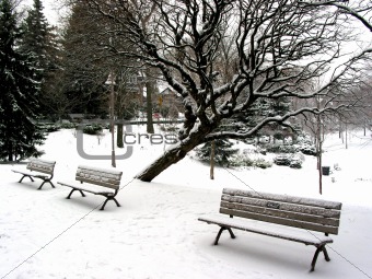 Winter benches