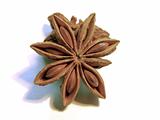 star of anise