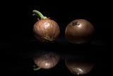 onions from dark