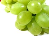 Green grapes macro