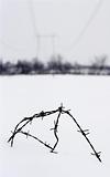 barbed wire and snow