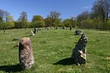 Cemetry builded by Prehistoric Man, Kivik, Scania, southern Swed