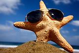 Beach Starfish with Shades