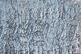 abstract wall texture