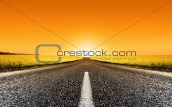Canola Road Sunset