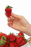 Holding a fresh juicy strawberry