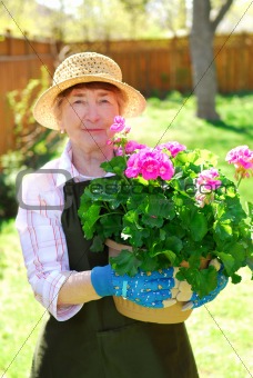 Retired gardener