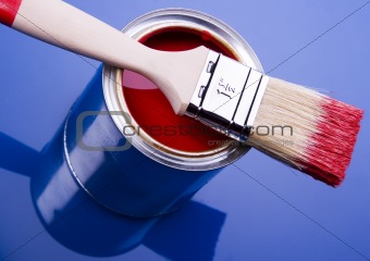 Paint brush and paint