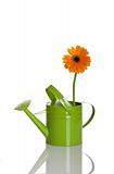 Green watering can with a flower