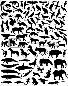 Animal outlines