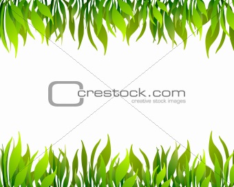 grass and  plant  in illustration