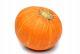 Pumkin isolated over a white background