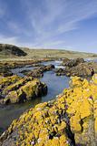 Rocky Scottish coastline