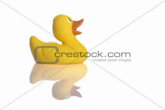  Rubber Duck