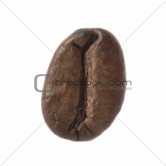  Isolated macro shot of single coffee bean