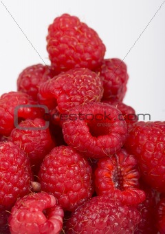 The Raspberries