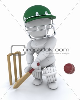 man playing cricket