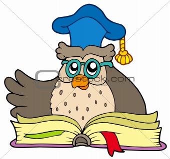 Cartoon owl teacher with book