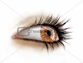 Close up of eye with long lashes
