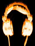 Burning headphones