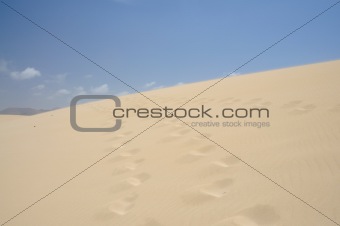 Dune at the Canary Island Fuerteventura, Spain