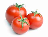 three tomattos