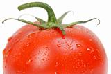 tomato single close-up